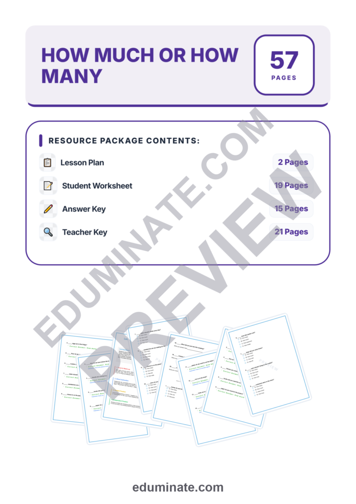 How Much or How Many Worksheet | Countable and Uncountable Nouns Practice Pack preview page
