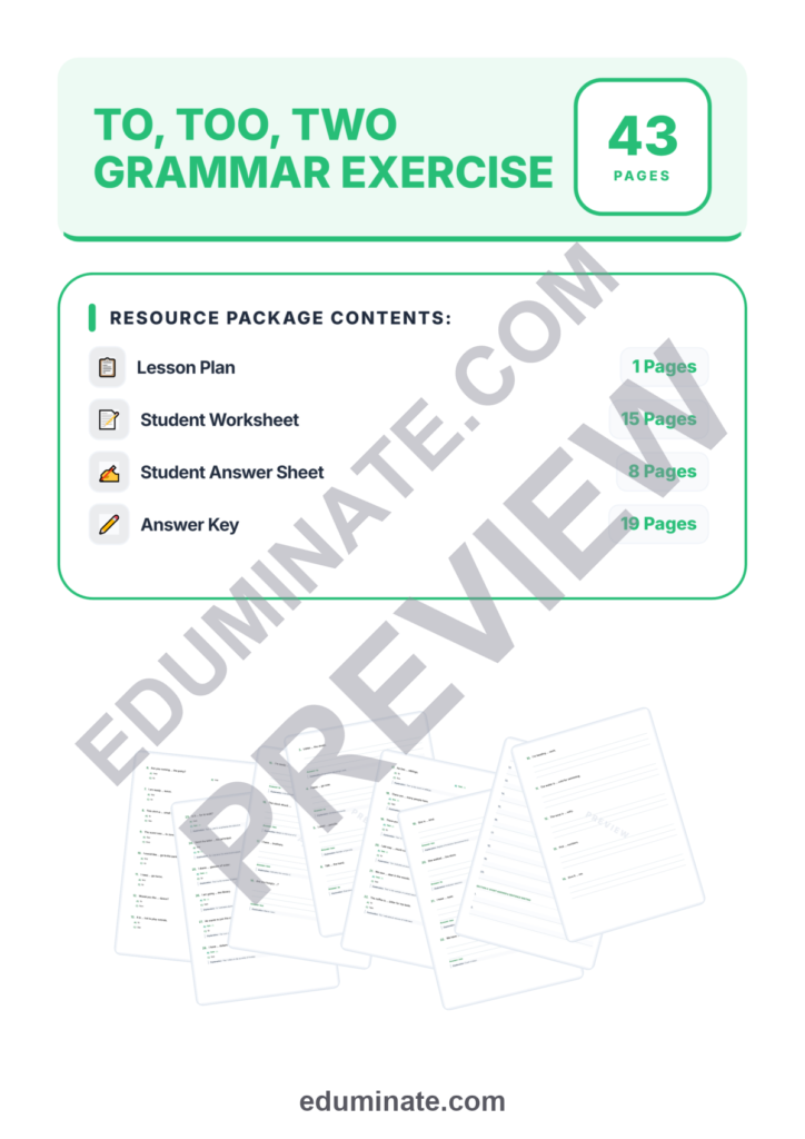 To Too Two Worksheet | Homophones Grammar Practice | Multiple Choice Questions preview page