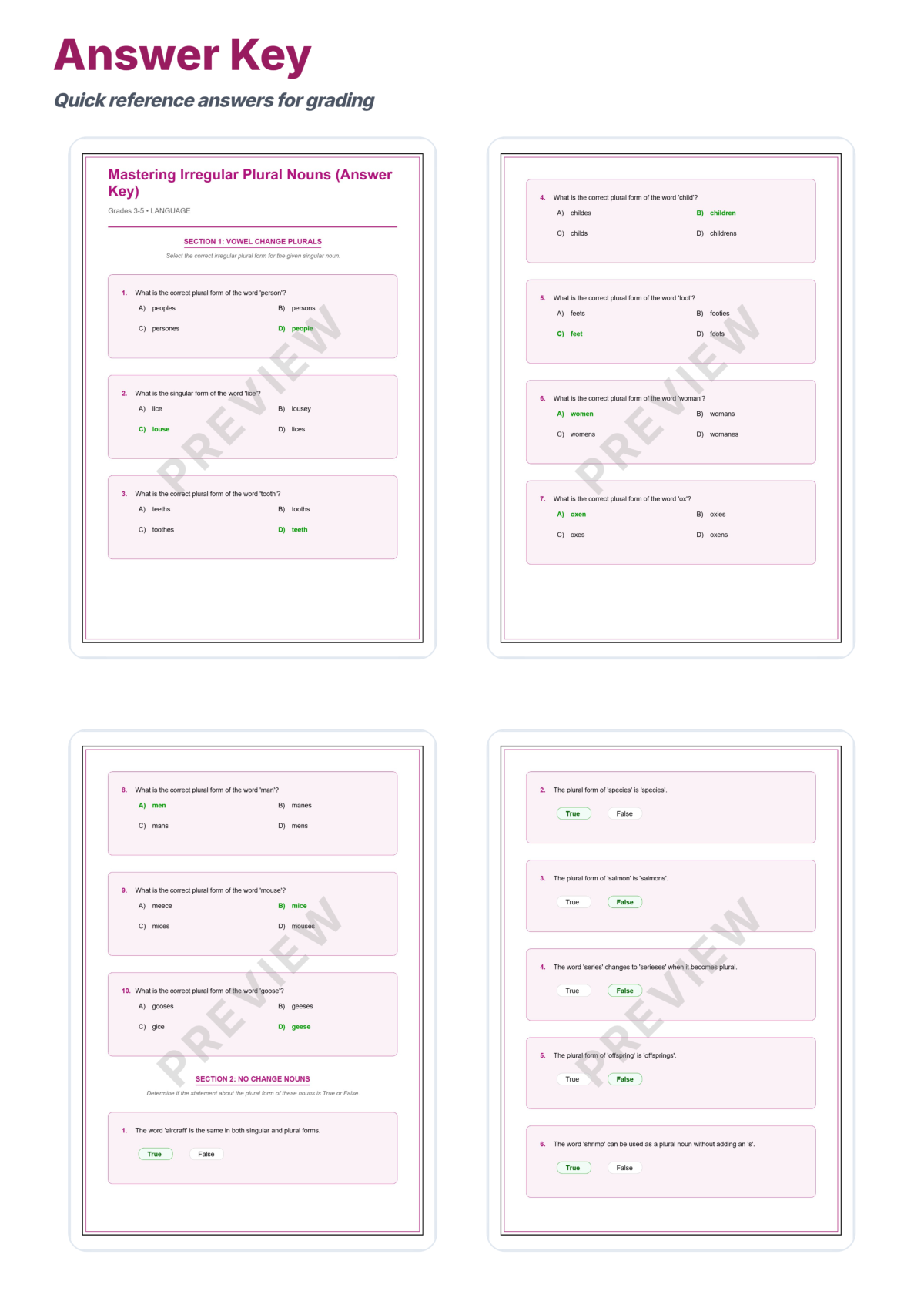 Preview sheet 5 of Irregular Plural Nouns Worksheet Packet – Spelling Rules & Plural Practice