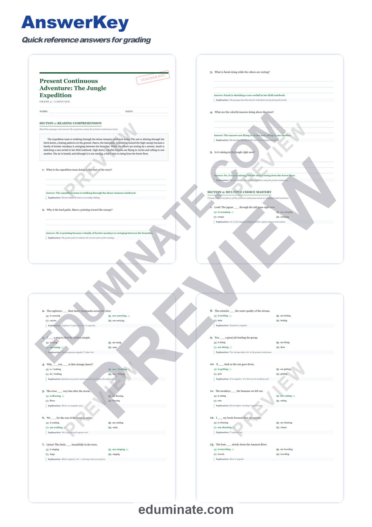 Preview sheet 5 of Present Continuous Tense Worksheets | Jungle Expedition ESL Grammar Practice