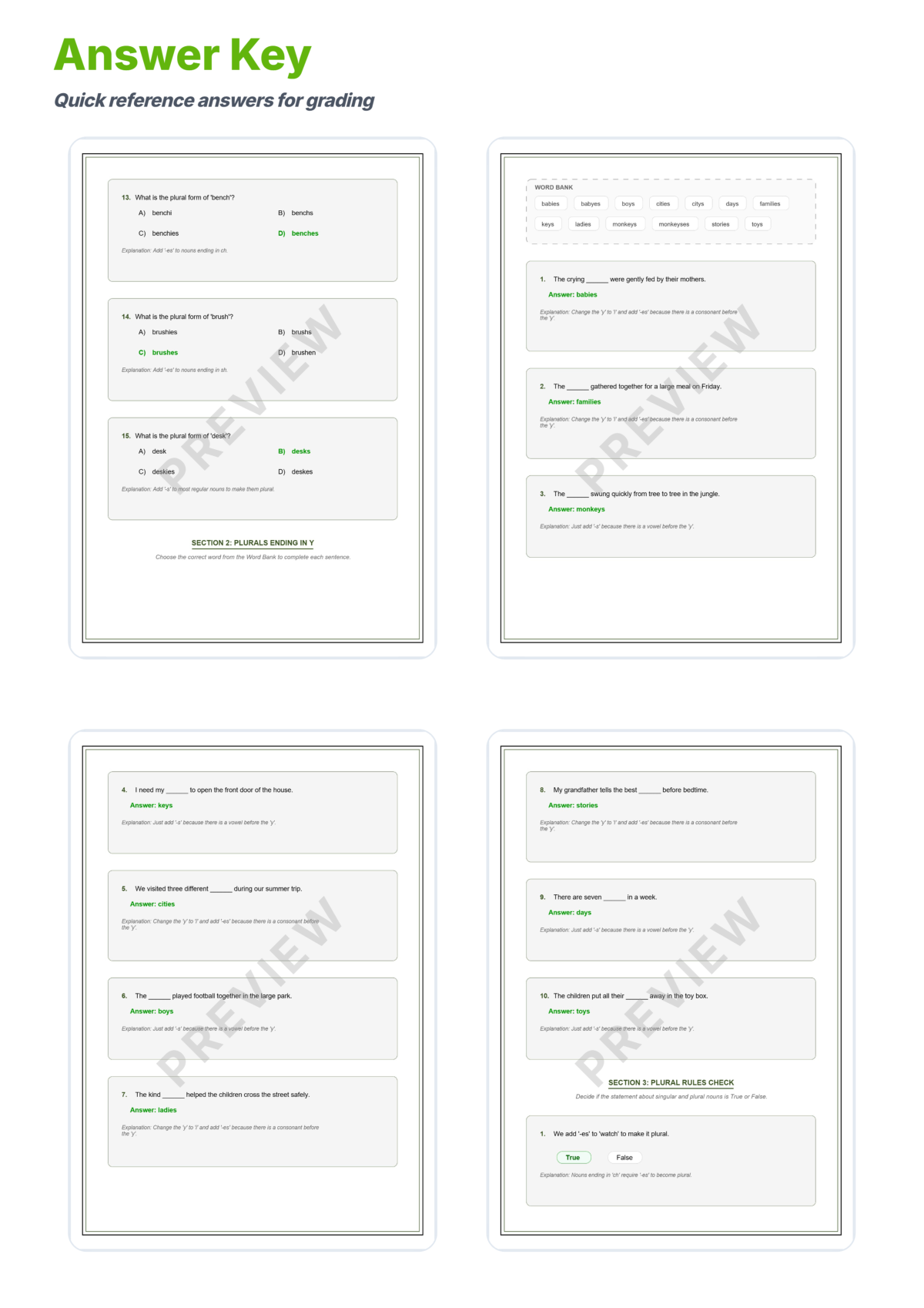 Preview sheet 6 of Singular and Plural Nouns Worksheets | Plural Rules | Grammar Practice Activity