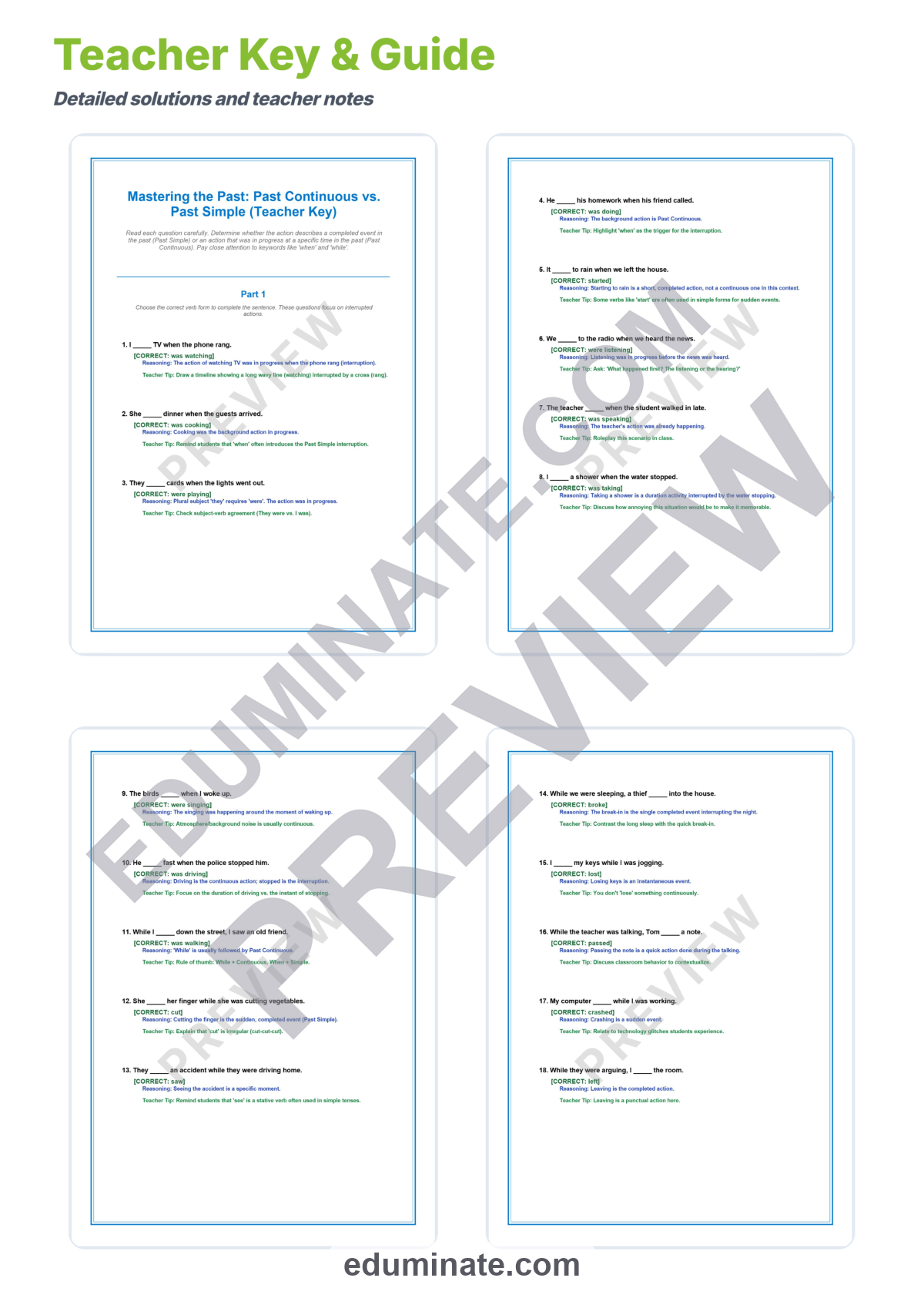 Preview sheet 6 of Past Continuous and Past Simple Worksheets | Grammar Practice With Answer Key