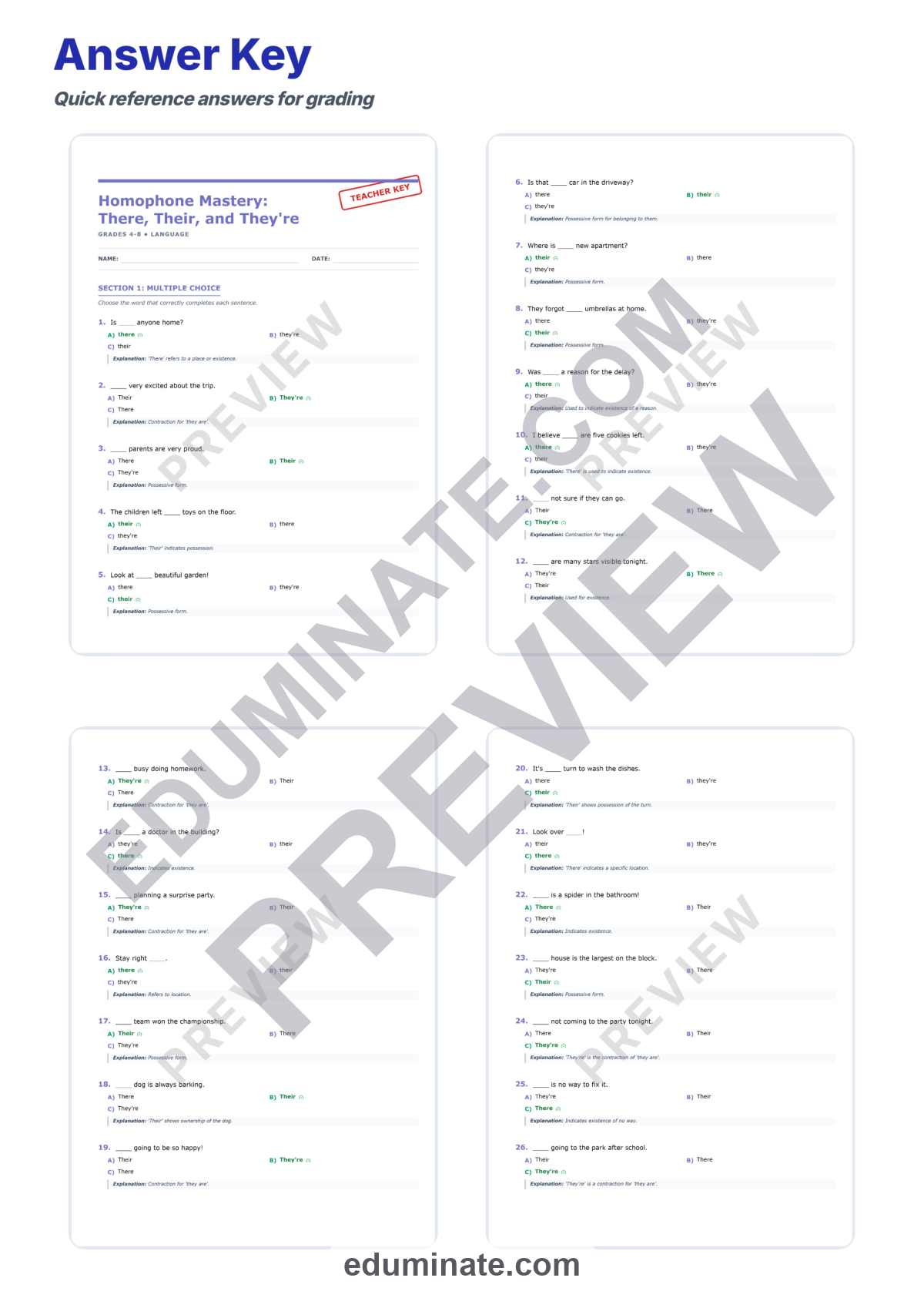 Preview sheet 6 of There, Their, They’re Worksheets | Homophones Practice | Grammar Activity Set