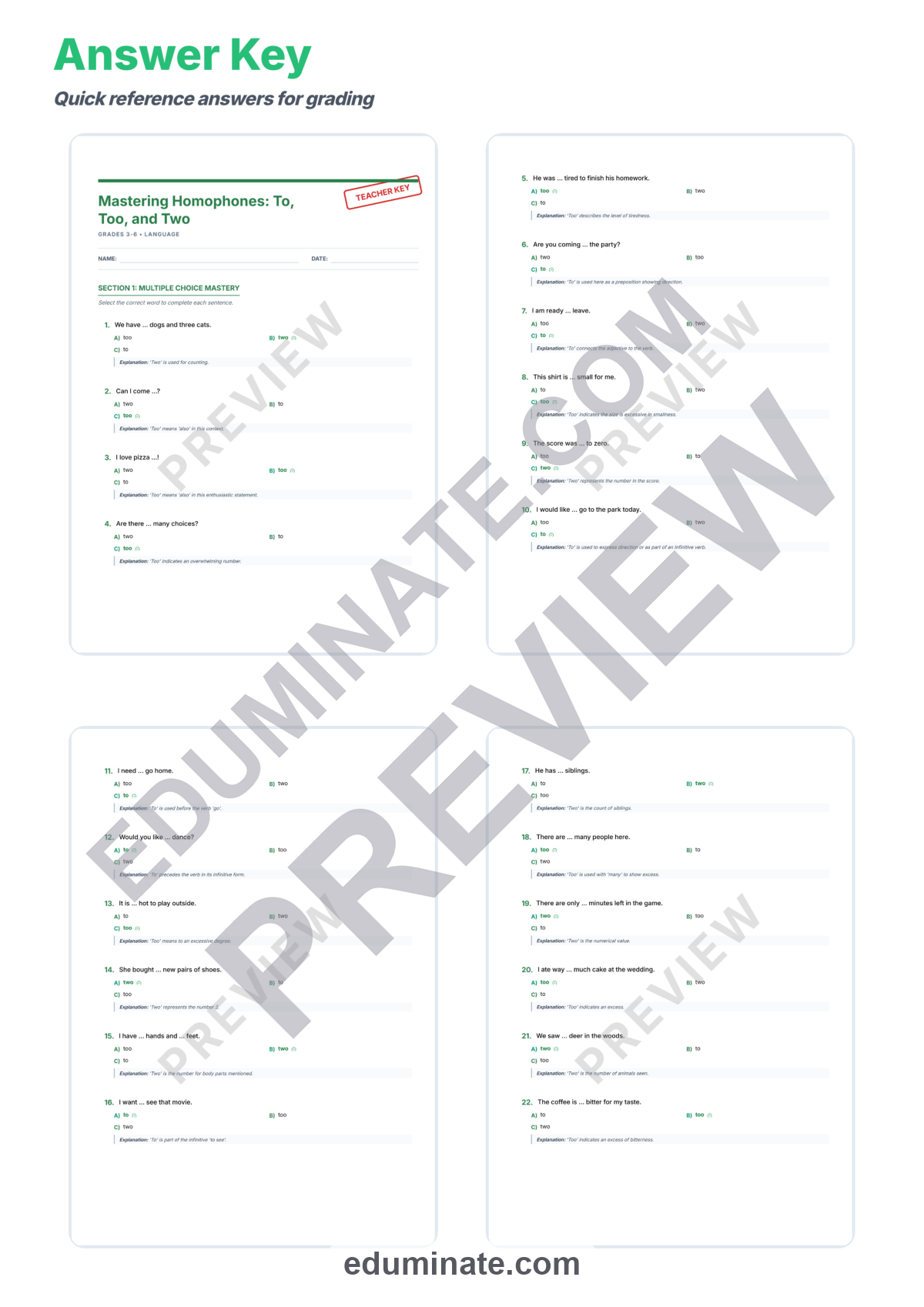 Preview sheet 6 of To Too Two Worksheet | Homophones Grammar Practice | Multiple Choice Questions