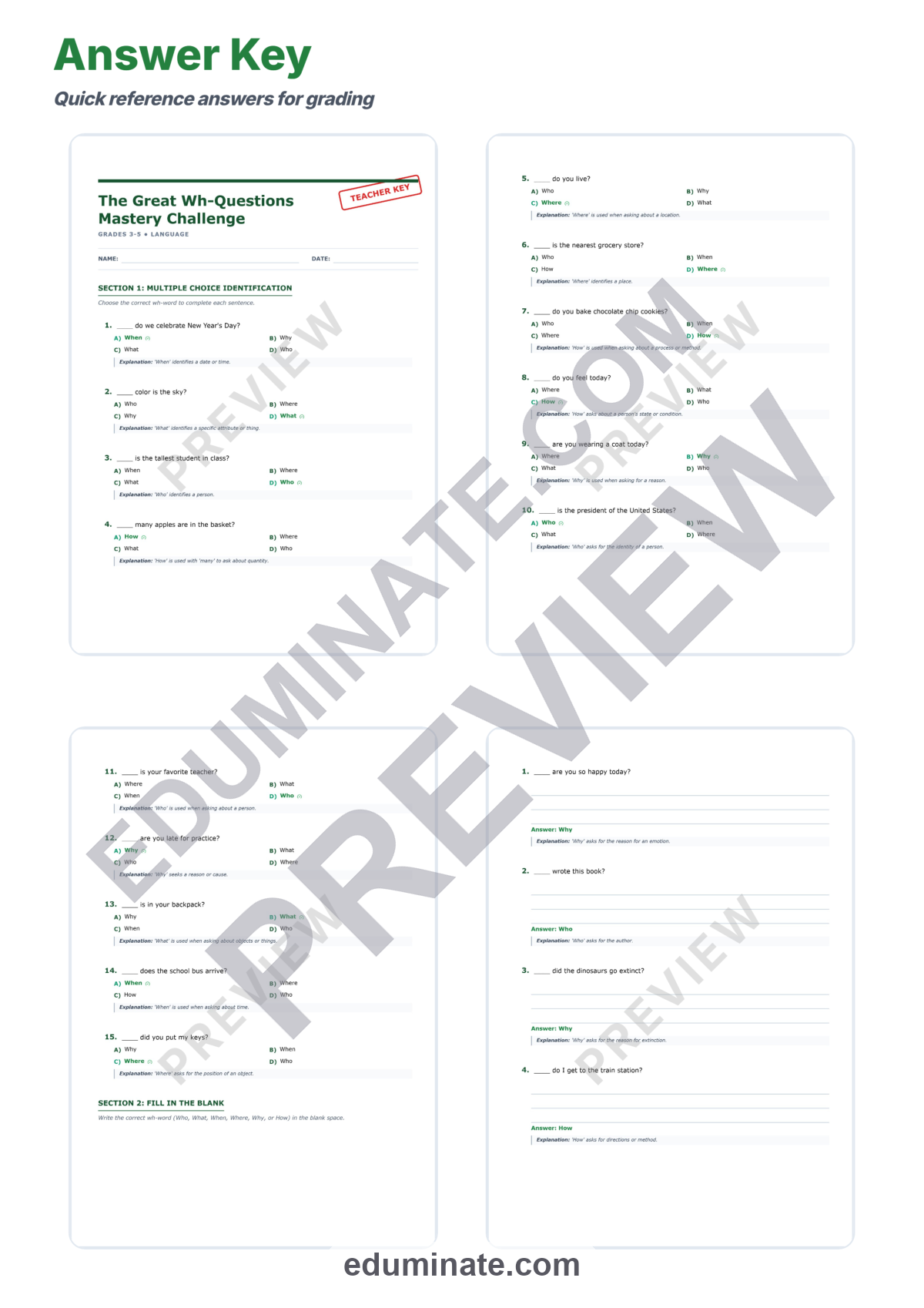 Preview sheet 6 of Wh Questions Worksheets | Who What When Where Why How | Question Words Practice