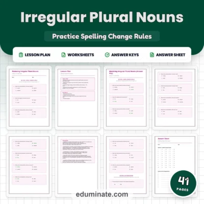 Irregular Plural Nouns Worksheet Packet - Spelling Rules & Plural Practice — resource cover