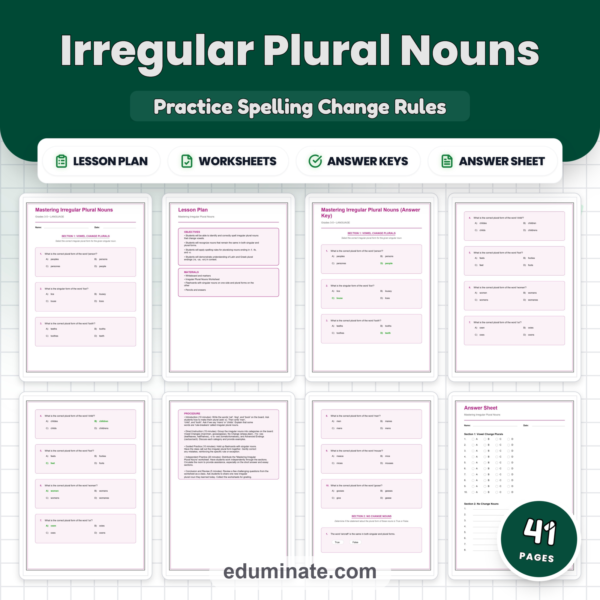 Irregular Plural Nouns Worksheet Packet - Spelling Rules & Plural Practice — resource cover