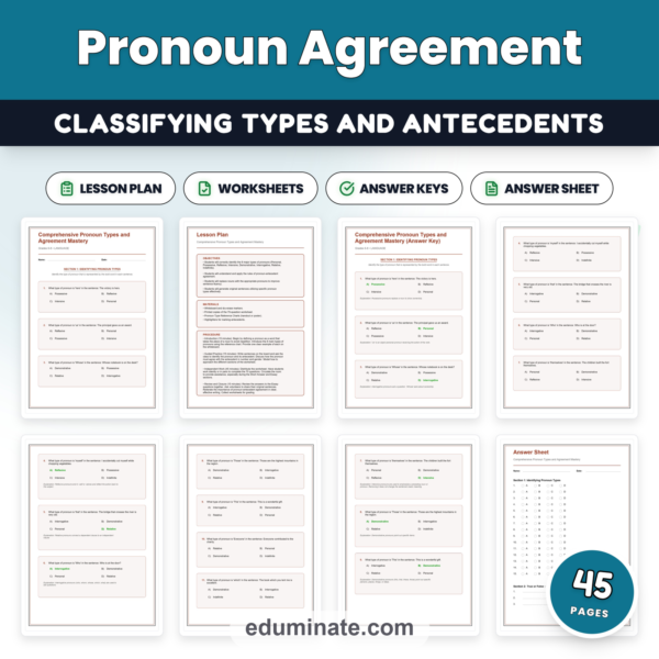 Pronoun Types Worksheet Packet - Subject Object Reflexive & Relative Forms — resource cover