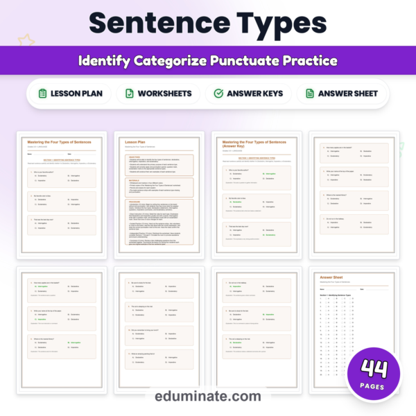 Four Types of Sentences Worksheets | Sentence Types Practice | Grammar Activity — resource cover