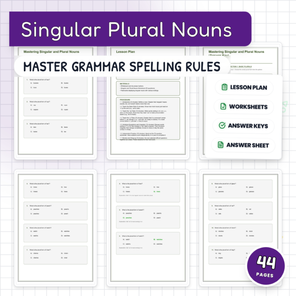 Singular and Plural Nouns Worksheets | Plural Rules | Grammar Practice Activity — resource cover