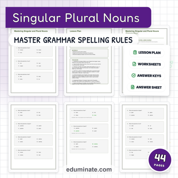 Singular and Plural Nouns Worksheets | Plural Rules | Grammar Practice Activity — resource cover