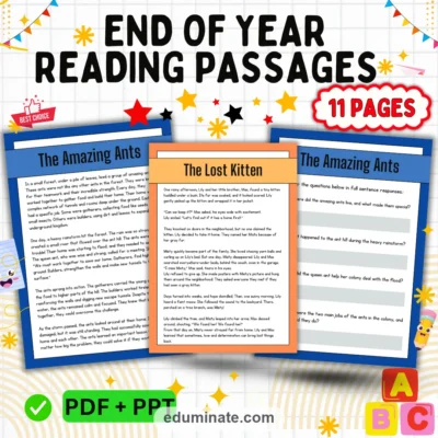 End of Year Reading Comprehension Passages and Questions for 2nd to 5th Grade — resource cover