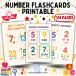 Number Flashcards Printable | Counting and Number Recognition Cards | 107 Pages cover