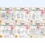 Plant Coloring Pages Printable Bundle | Houseplants, Botany and Plant Life Cycle cover