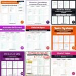 Spanish Worksheets Bundle | Spanish Reading Passages With Questions cover