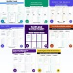Human Body Worksheets Bundle | Nutrition, Body Systems, Sleep and First Aid cover