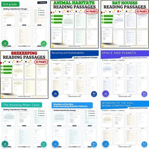 3rd Grade Worksheets Bundle | Reading Passages and Grammar Packs — resource cover