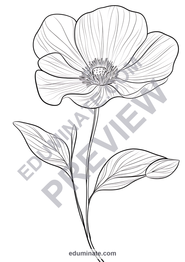 Spring Flower Coloring Pages Botanical Floral Sheets 40 Printable Activities sample page 1