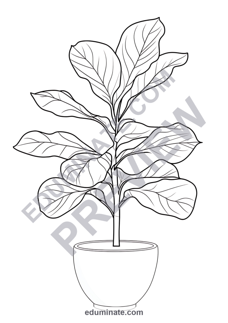 Plant Coloring Pages Botany Life Cycle Science Activity Sheets Pack for Kids sample page 1