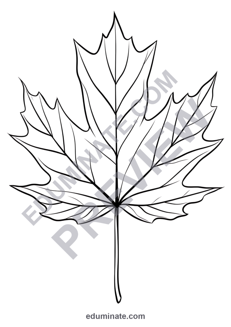 Fall Leaf Coloring Pages Autumn Leaves Nature Activity Sheets Pack for Kids sample page 1