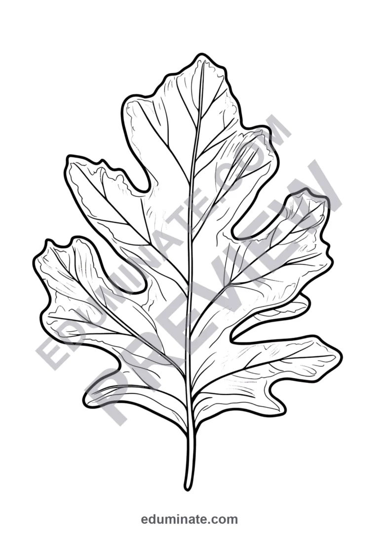 Maple Leaf Coloring Pages Autumn Nature Art Activity Sheets Pack for Kids sample page 1