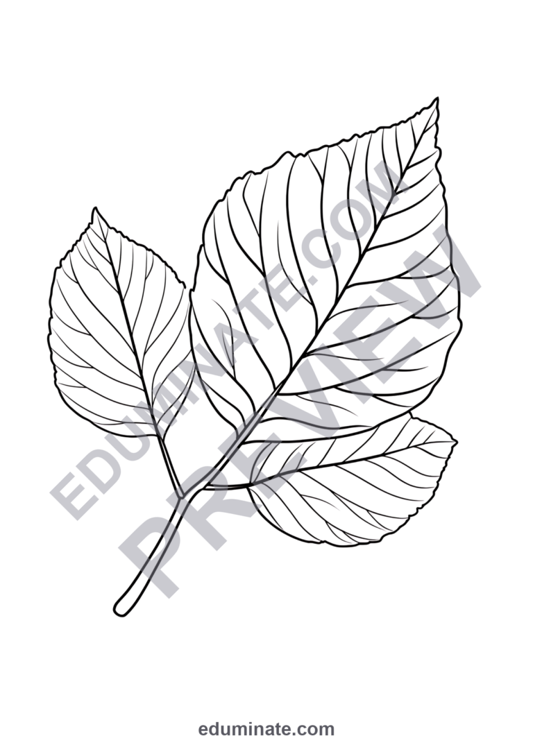 Leaf Coloring Pages Fall Autumn Foliage Sheets 80 Cute Printable Activities sample page 1