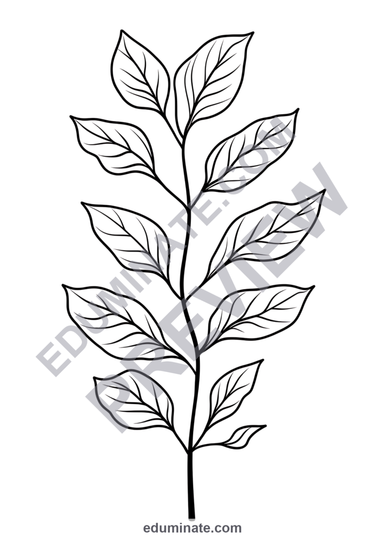 Botanical Plant Coloring Pages 75 Houseplant Foliage Art Activity Worksheets sample page 1