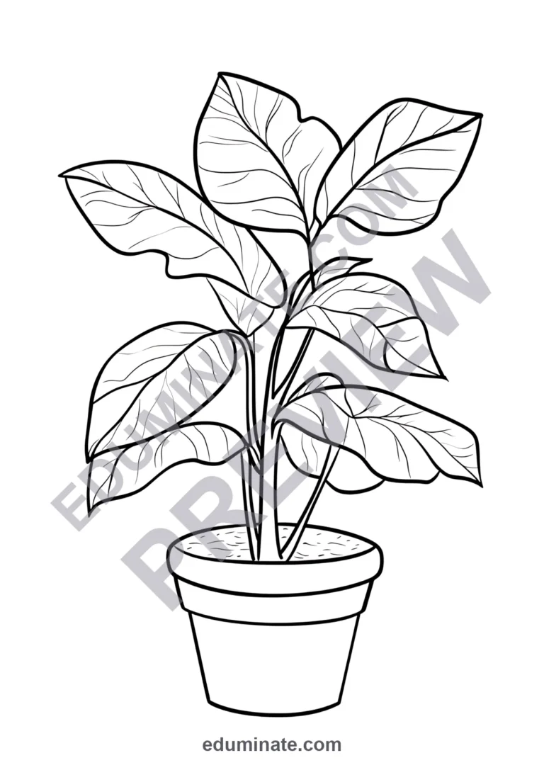 Parts of a Plant Coloring Pages Science Botany Activity Sheets Pack for Kids sample page 2