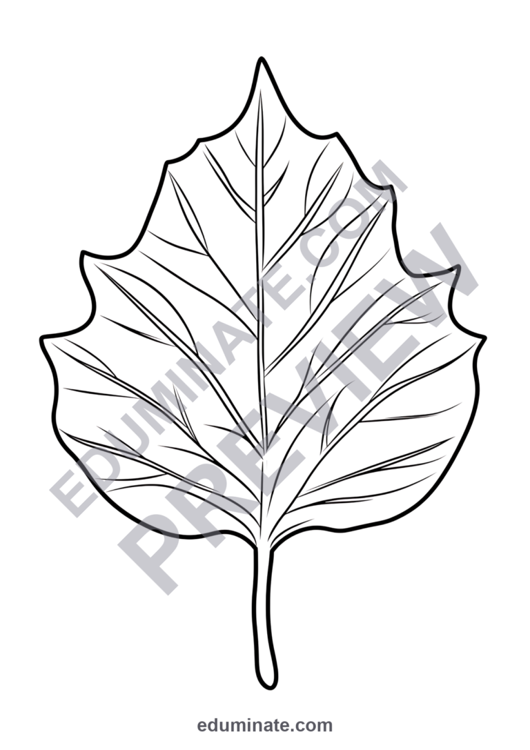 Fall Leaf Coloring Pages Autumn Leaves Nature Activity Sheets Pack for Kids sample page 2