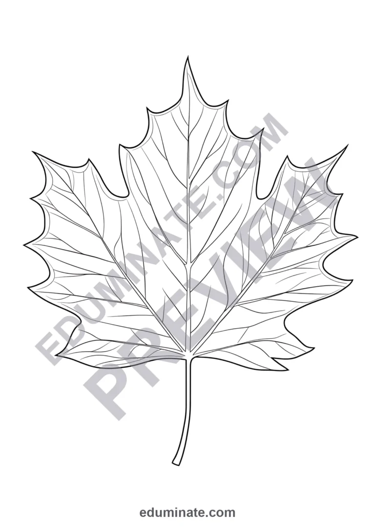 Maple Leaf Coloring Pages Autumn Nature Art Activity Sheets Pack for Kids sample page 2