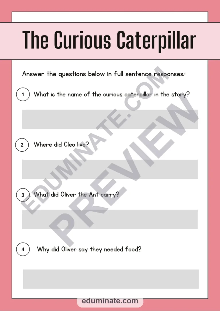 End of Year Reading Comprehension Passages and Questions for 2nd to 5th Grade sample page 2