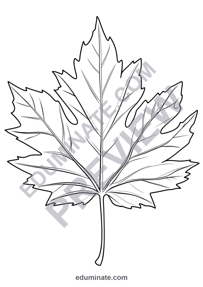 Leaf Coloring Pages Fall Autumn Foliage Sheets 80 Cute Printable Activities sample page 2