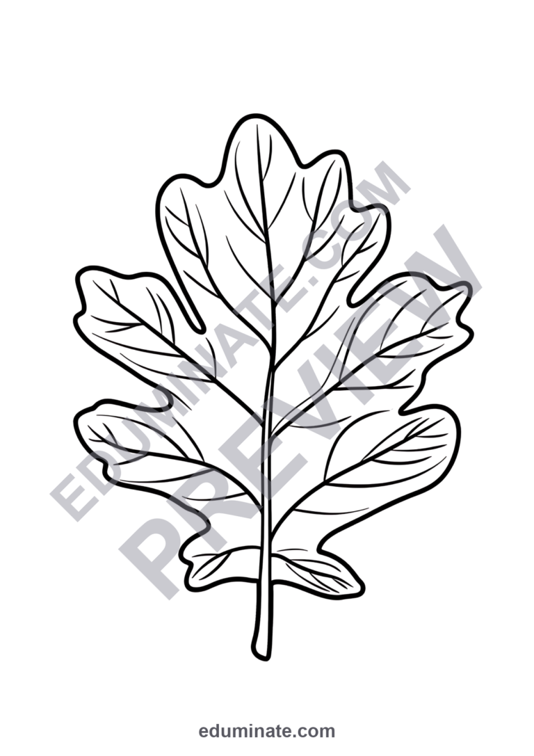 Leaves Coloring Pages Autumn Forest Foliage 100 Cute Printable Worksheets sample page 2