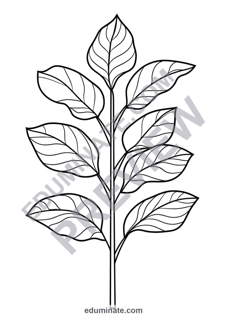 Botanical Plant Coloring Pages 75 Houseplant Foliage Art Activity Worksheets sample page 2