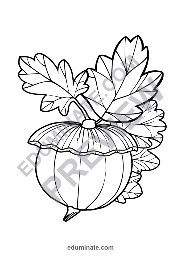 Fall Acorn Coloring Pages for Kids | Autumn Nature Set | Cute Printable Art sample page 2