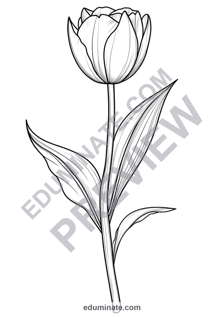 Flower Coloring Pages Spring Botanical Floral Sheets 150 Printable Activities sample page 2