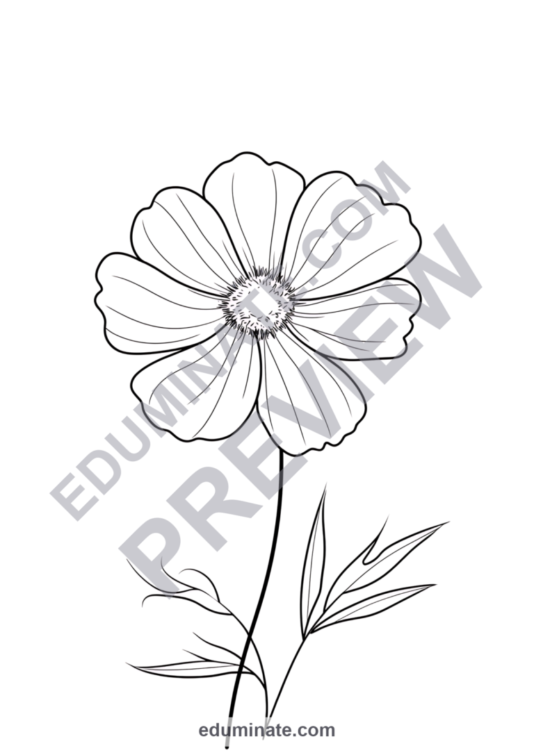 Flower Coloring Sheets Spring Floral Botanical Art 100 Printable Activities sample page 2