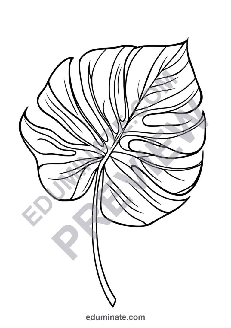Parts of a Plant Coloring Pages Science Botany Activity Sheets Pack for Kids sample page 3