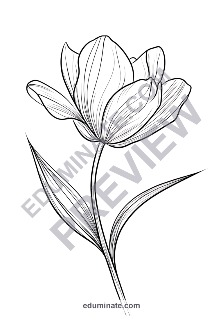Printable Spring Flowers Coloring Pages Garden Blooms Activity Pack for Kids sample page 3
