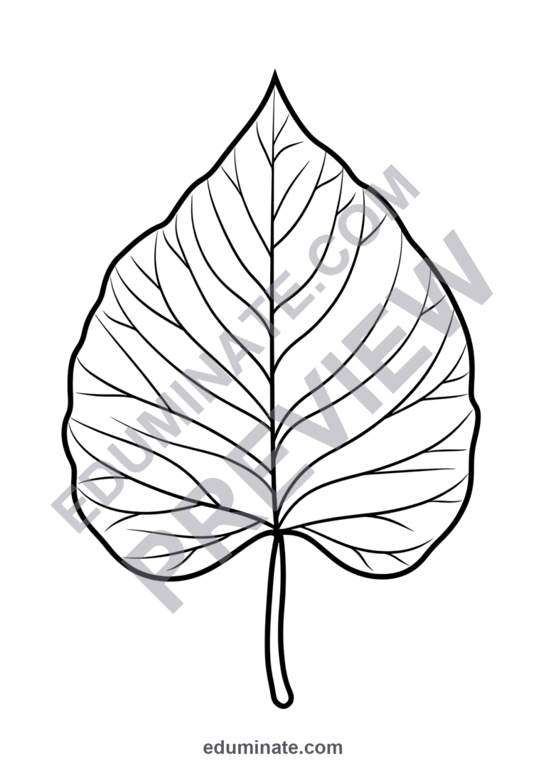 Fall Leaf Coloring Pages Autumn Leaves Nature Activity Sheets Pack for Kids sample page 3