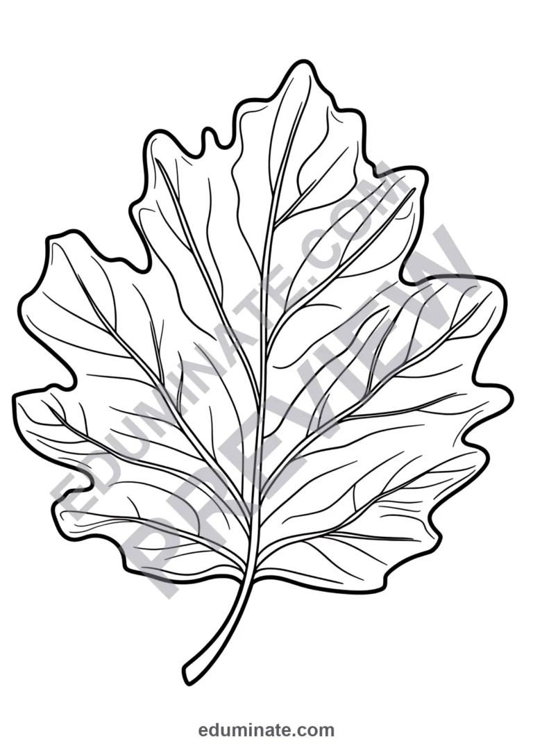 Maple Leaf Coloring Pages Autumn Nature Art Activity Sheets Pack for Kids sample page 3