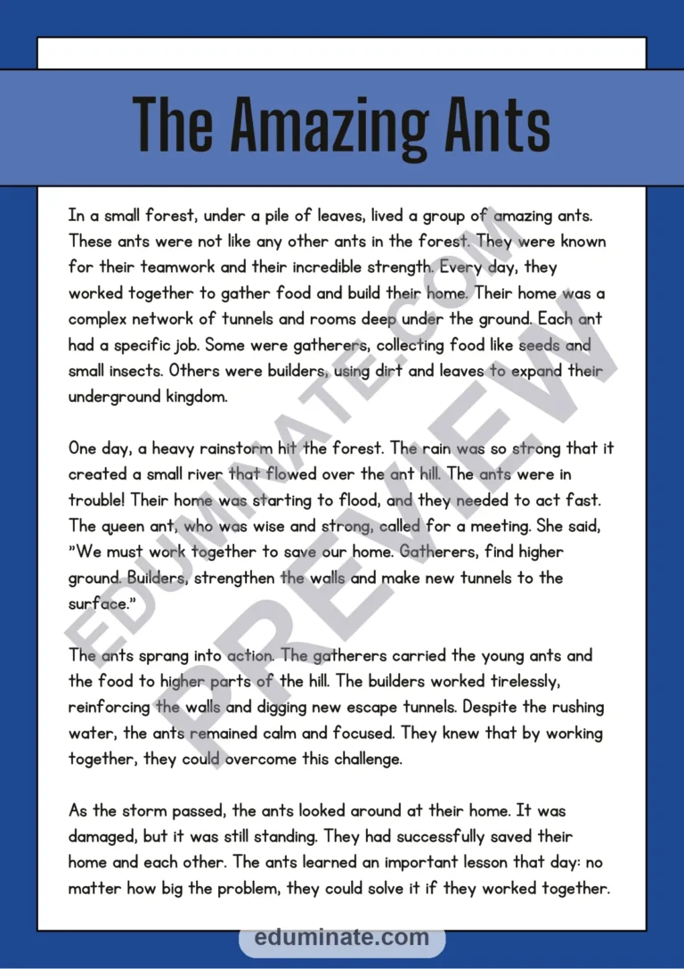 End of Year Reading Comprehension Passages and Questions for 2nd to 5th Grade sample page 3