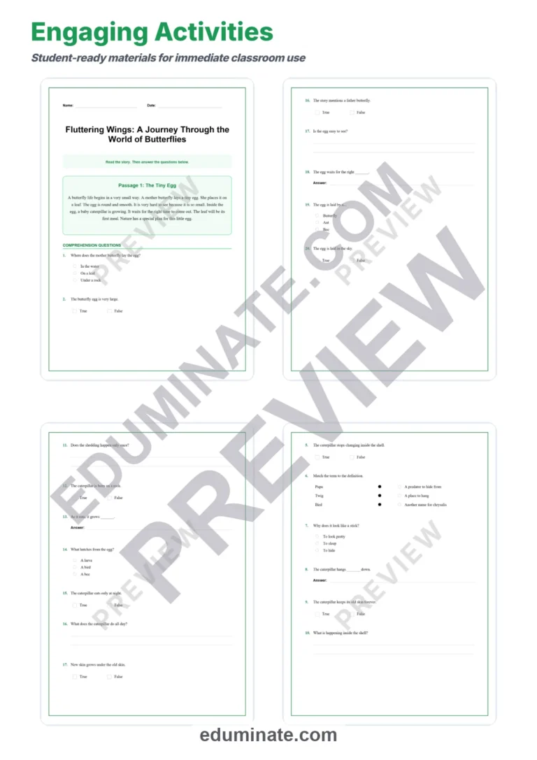 Butterfly Reading Comprehension Passages Worksheets Grades 2-6 Printables sample page 3