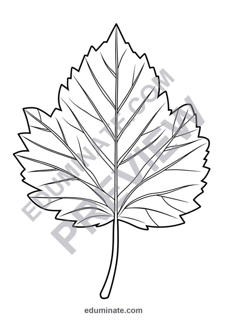 Leaf Coloring Pages Fall Autumn Foliage Sheets 80 Cute Printable Activities sample page 3