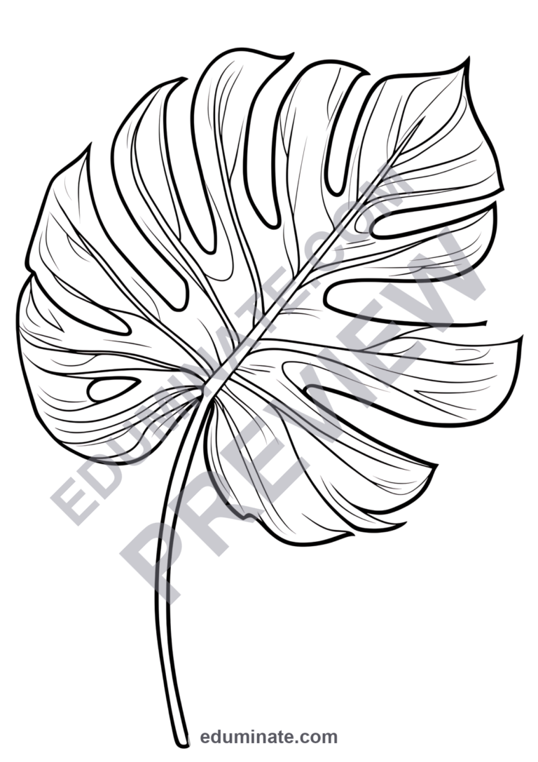 Botanical Plant Coloring Pages 75 Houseplant Foliage Art Activity Worksheets sample page 3