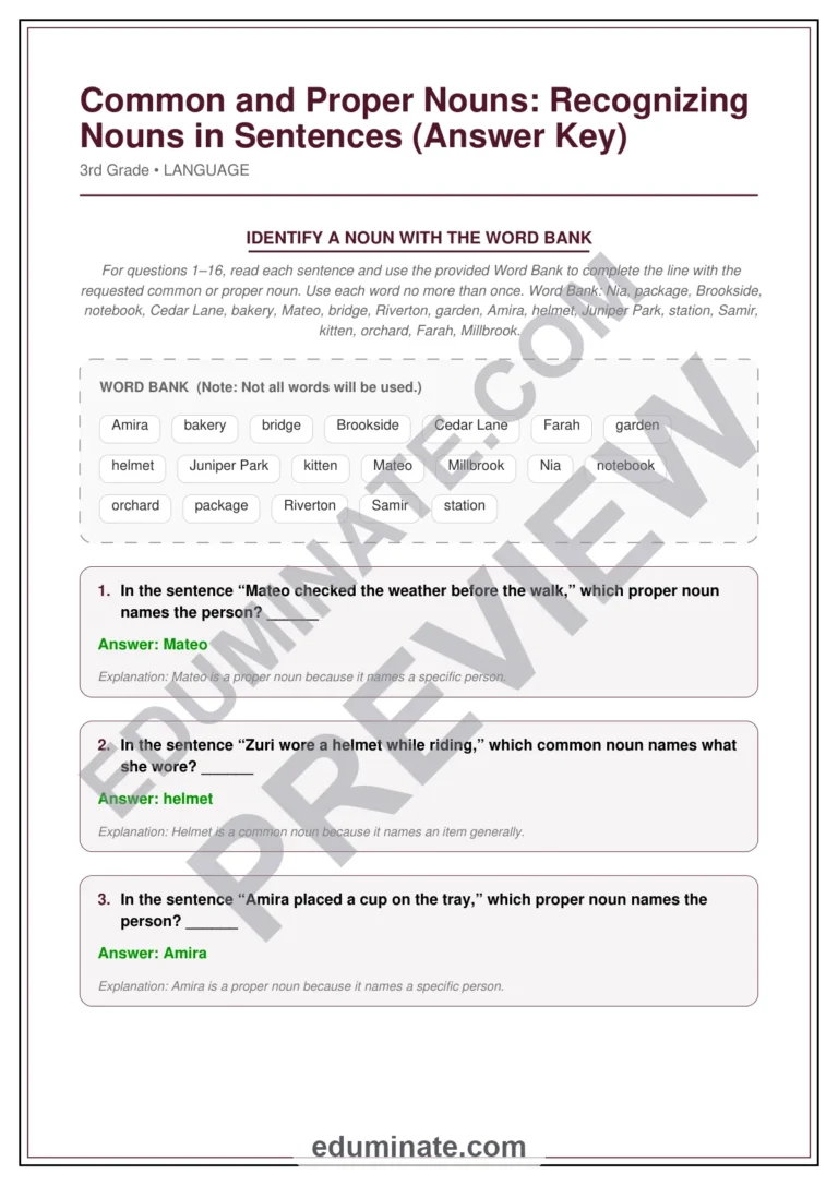 Common and Proper Nouns Worksheets | Grammar Practice for Grade 3 Sentence Work sample page 3
