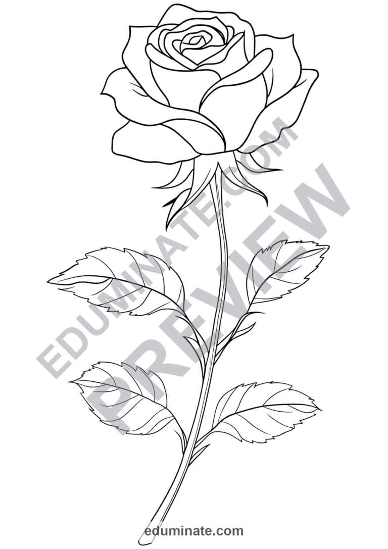 Flower Coloring Sheets Spring Floral Botanical Art 100 Printable Activities sample page 3