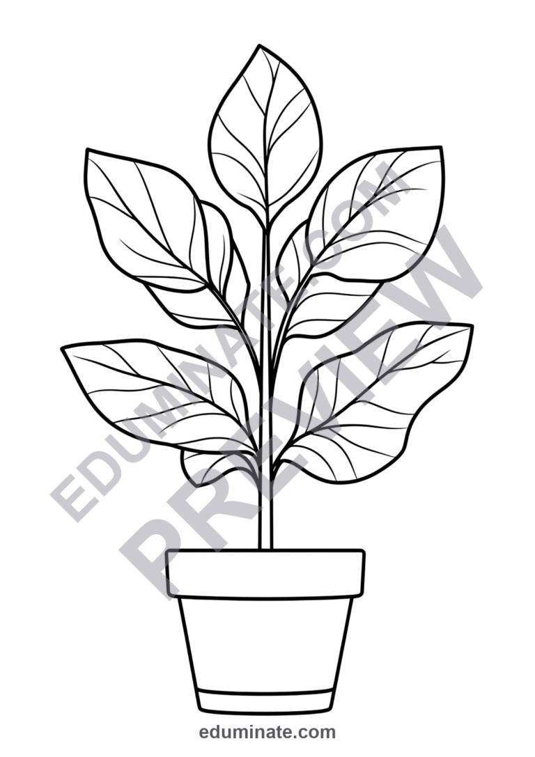 Plant Coloring Pages Botany Life Cycle Science Activity Sheets Pack for Kids sample page 4