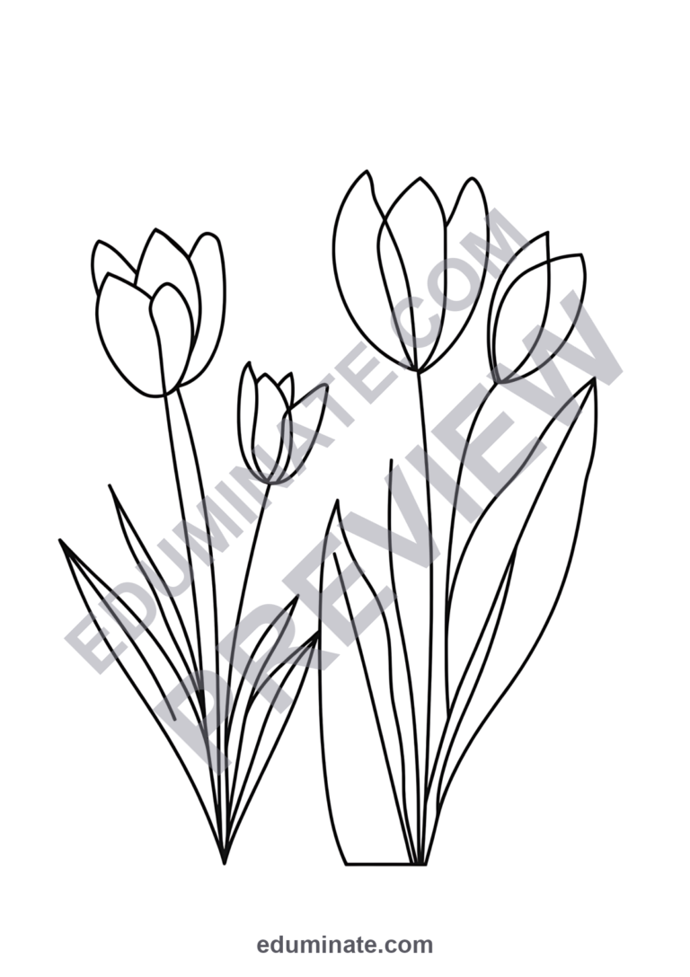 Printable Spring Flowers Coloring Pages Garden Blooms Activity Pack for Kids sample page 4
