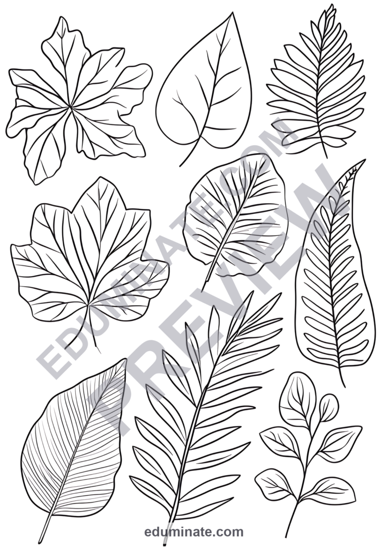Fall Leaf Coloring Pages Autumn Leaves Nature Activity Sheets Pack for Kids sample page 4
